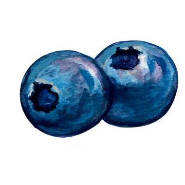 Yaban mersinli el çizimi kavramını tasvir edin, element projeniz için uygun olan sulu renk biçimi.