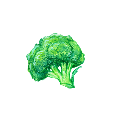 Brokoli el çizimi kavramını tasvir etmek, element projenize uygun olan sulu renk biçimini çizmek.