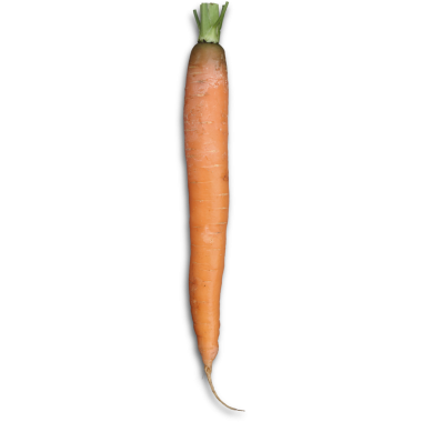 Yeşil kaplamalı, turuncu bir havuç, doğal şeklini ve rengini gösteriyor..