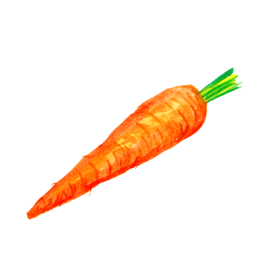 Element projeniz için uygun olan havuç el çizim şekli kavramını tasvir edin.