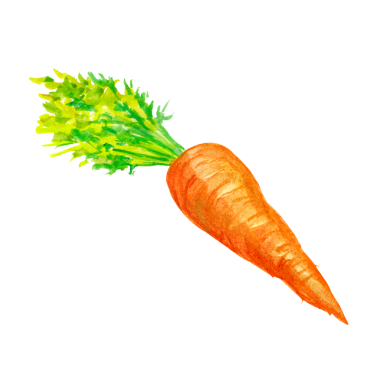 Element projeniz için uygun olan havuç el çizim şekli kavramını tasvir edin.