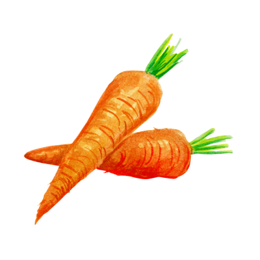 Element projeniz için uygun olan havuç el çizim şekli kavramını tasvir edin.