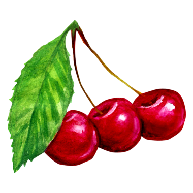 Element projeniz için uygun kırmızı kiraz rengi el çizimi kavramını tasvir edin.