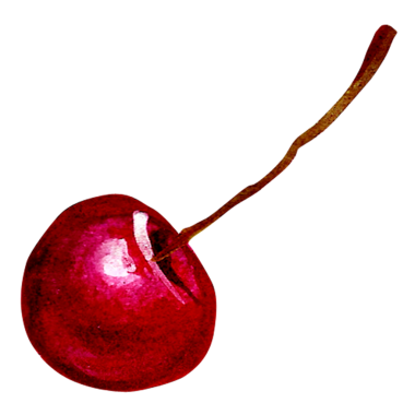 Element projeniz için uygun kırmızı kiraz rengi el çizimi kavramını tasvir edin.