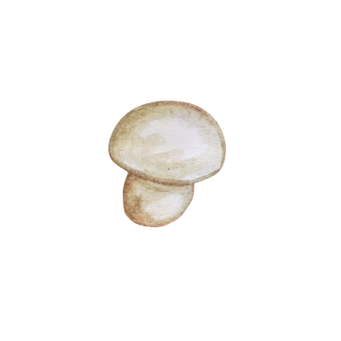 Element projeniz için uygun olan Champignon el çizim renk tarzını kavramsallaştır.