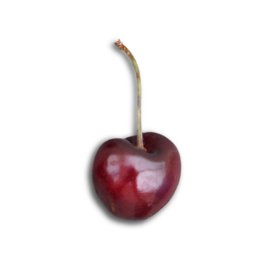 Saplı tek bir kiraz, parlak, koyu kırmızı yüzeyini ışık arka planına karşı sergiliyor..