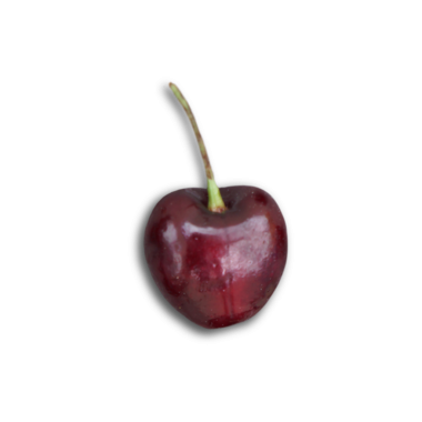 Parlak bir yüzeyi ve yeşil bir sapı olan tek bir kiraz, tarafsız bir arkaplan üzerine kurulmuş..
