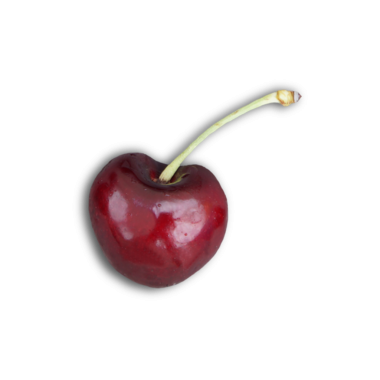 Tarafsız bir arkaplanda yeşil saplı parlak kırmızı bir kiraz..