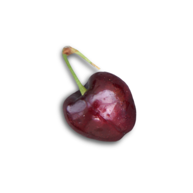 Parlak yüzeyi ve yeşil sapı olan tek bir olgun kiraz..