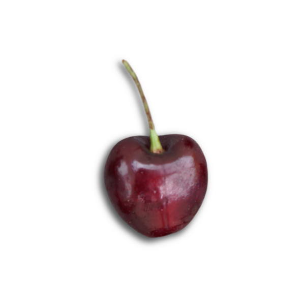 Parlak bir yüzeyi ve yeşil bir sapı olan tek bir kiraz, tarafsız bir arkaplan üzerine kurulmuş..