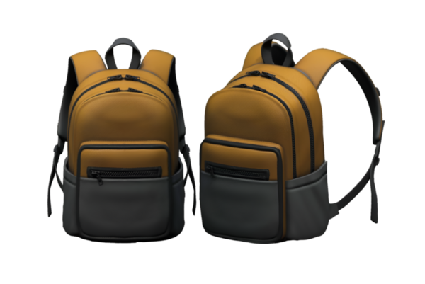 Pratik kullanım için birden fazla bölmesi olan iki renkli şık bir sırt çantası..