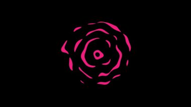 Yaratıcı Projeler İçin Siyah Arkaplanda Canlı Pembe Gül Canlandırması