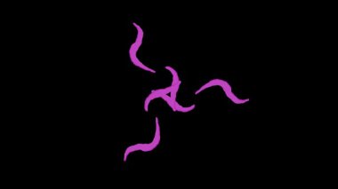 Büyüleyici Doğa Görüntüleri Canlı Manzaralar ve Vahşi Yaşam Gösterisi