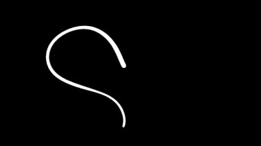 Yaratıcı İfadeyle Modern Sanatın Entrikalarını Keşfetmek