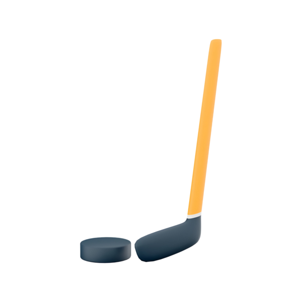 Hokey sopası ve disk, buz hokeyi oynamak için gerekli ekipmanlar..