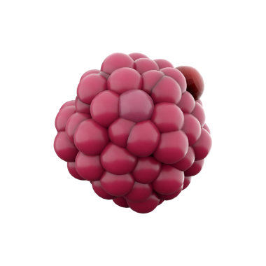 Yuvarlak şeklini ve kümelenmiş dokusunu sergileyen ahududunun stilize edilmiş bir temsili..