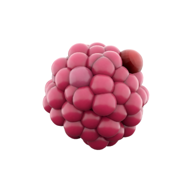 Engebeli dokusu ve canlı rengini sergileyen bir ahududun stilize edilmiş bir temsili..