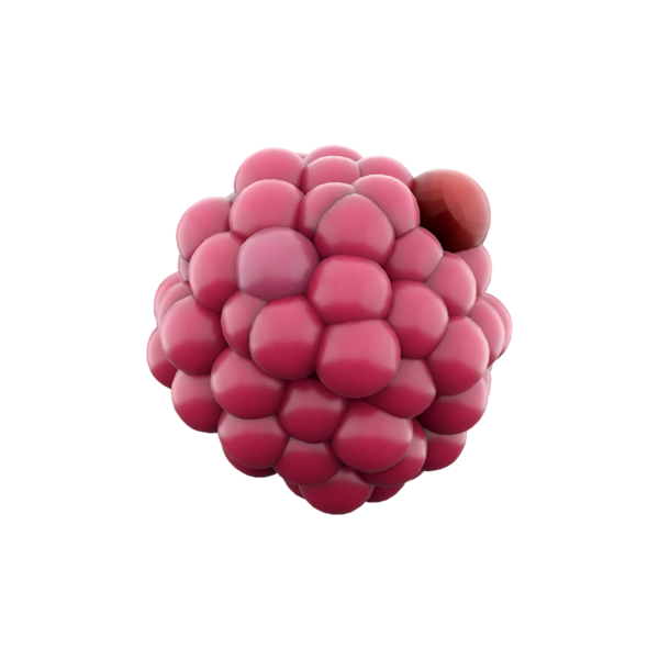 Engebeli dokusu ve canlı rengini sergileyen bir ahududun stilize edilmiş bir temsili..