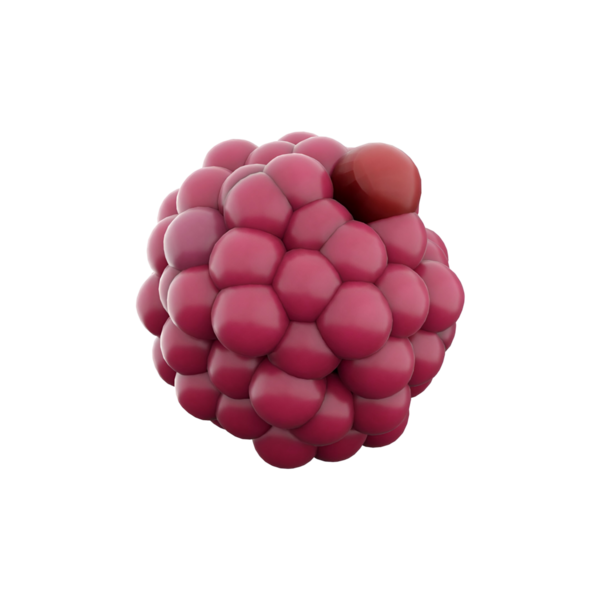 Biyolojik yapıları veya süreçleri gösteren bir hücre kümesinin 3 boyutlu gösterimi.