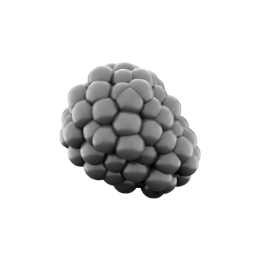 Bir böğürtlenin üç boyutlu tasviri, eşsiz yapısını ve dokusunu gözler önüne seriyor..