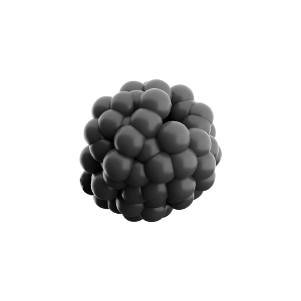 Siyah ahududunun üç boyutlu bir temsili, desenli yüzeyi ve küresel şeklini sergiliyor..