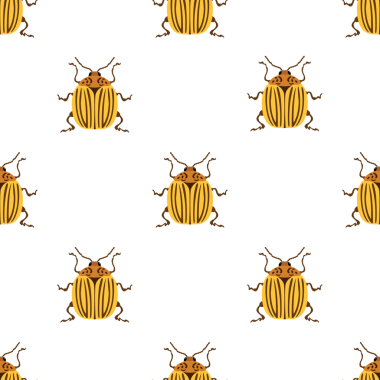 Kolorado patates böceğiyle kusursuz desen, tekrar eden böcek vektör görüntüsü.