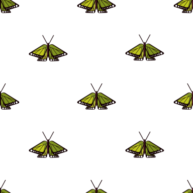 Yeşil kelebek pürüzsüz desen tasarımı