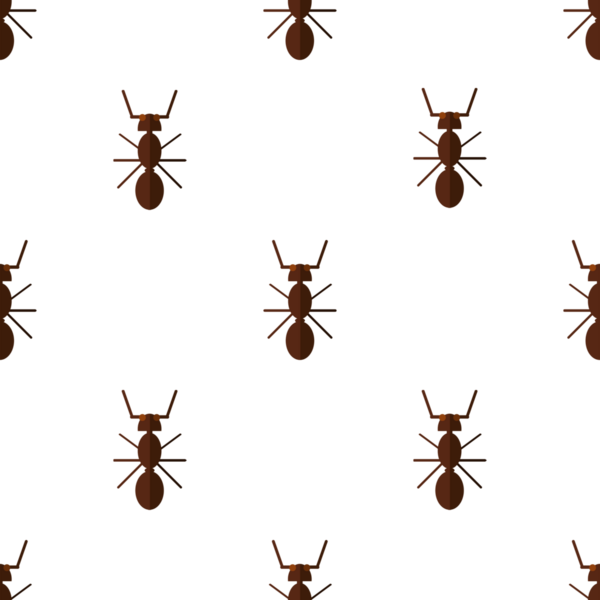 Beyaz arka plan böcek ilaçlama üzerinde kahverengi karıncaların kusursuz vektör deseni