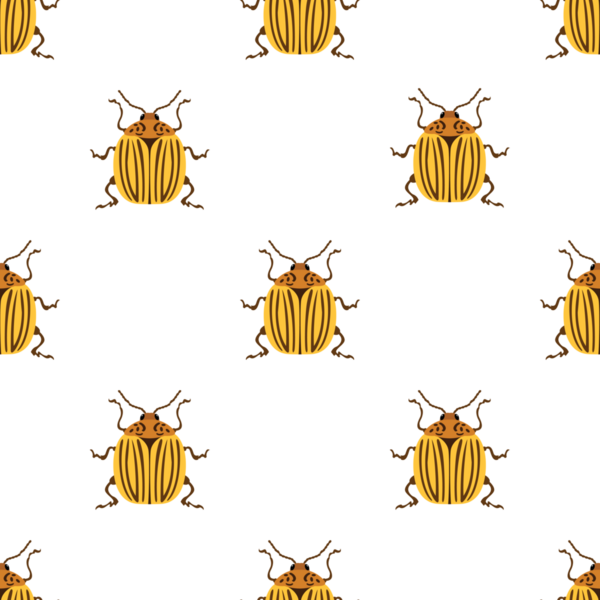 Kolorado patates böceğiyle kusursuz desen, tekrar eden böcek vektör görüntüsü.