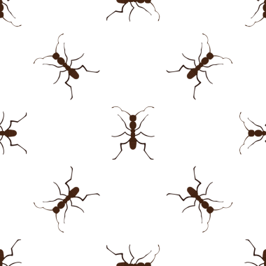 Beyaz Arkaplanda Koyu Kahverengi Karıncaların Kusursuz Vektör Deseni