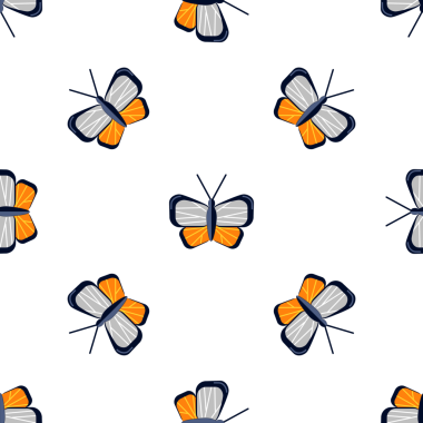 Kusursuz Kelebek Şablonu Hassas Kanatları ve Antenleri Var