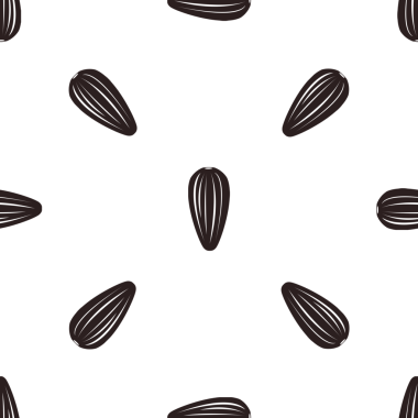 Beyaz arkaplanda biçimlendirilmiş ayçiçeği tohumlarının kusursuz deseni