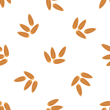 Beyaz arkaplan vektöründeki organik tohumların kusursuz deseni