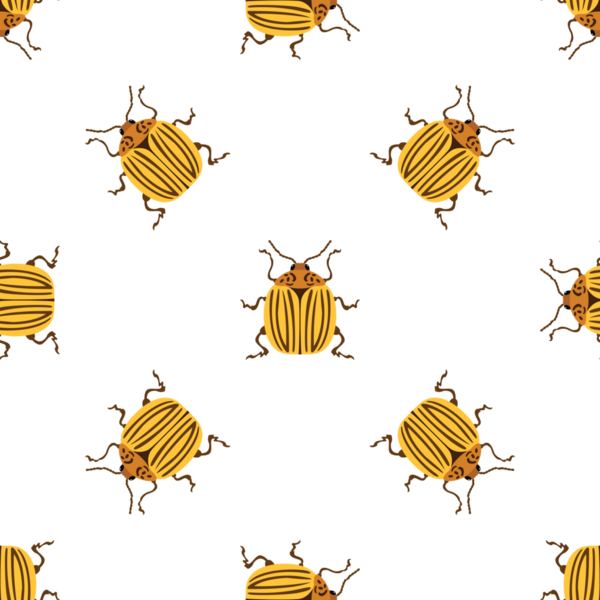 Renkli Colorado patates böcekleri vektör görüntüsü ile kusursuz desen