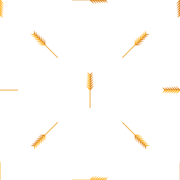 Beyaz arkaplan vektör tasarımında altın buğday kulakları pürüzsüz desen