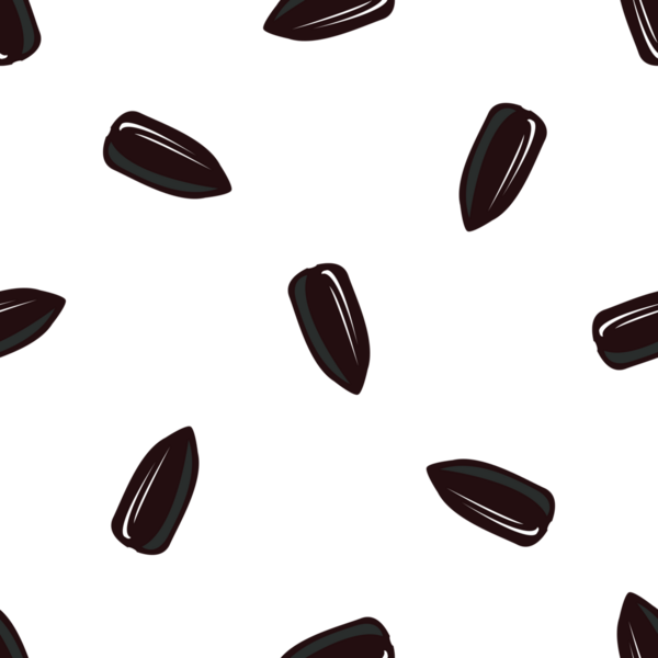 Beyaz arka planda dağınık ayçiçeği tohumlarının kusursuz vektör deseni