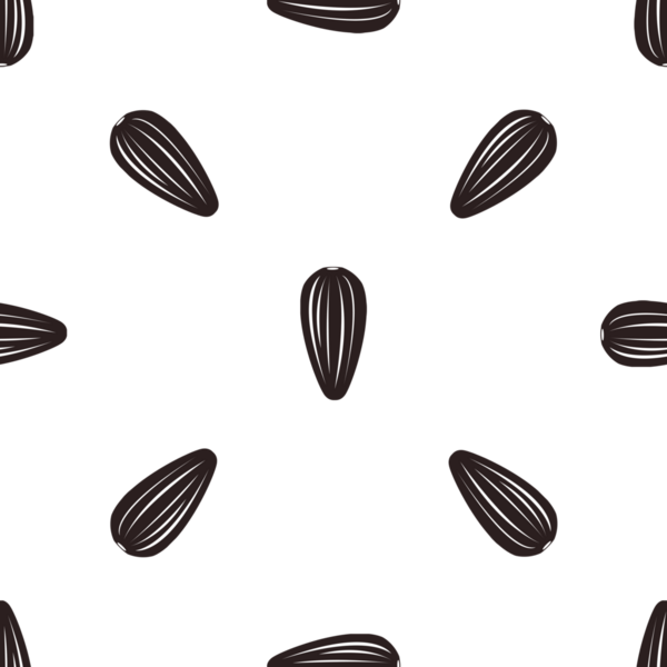 Beyaz arkaplanda biçimlendirilmiş ayçiçeği tohumlarının kusursuz deseni