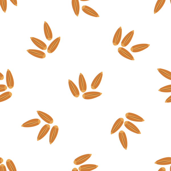 Beyaz arkaplan vektöründeki organik tohumların kusursuz deseni