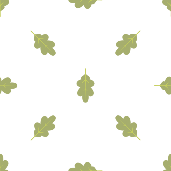 Kusursuz Minimalist Meşe Yaprakları Beyaz Arkaplanda, Sonbahar Titreşimleri