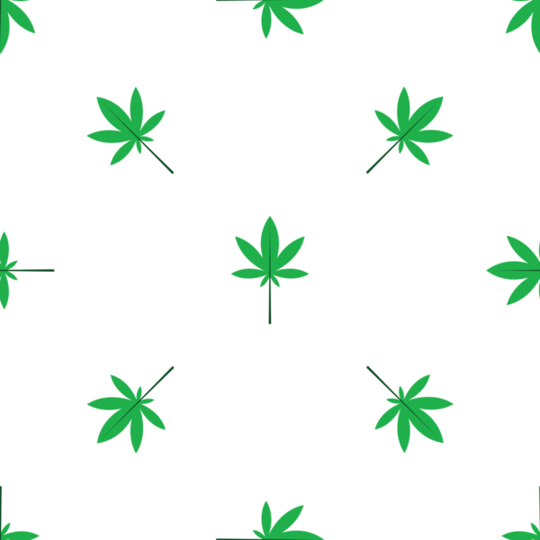 Beyaz arka plan tasarımında yeşil kenevir yapraklı pürüzsüz desen