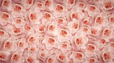 Yumuşak pembe güller zarif bir düzenleme Hassas ve romantik bir görsel yaratıyor.