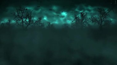 Karanlık orman ve sisli karanlıkta