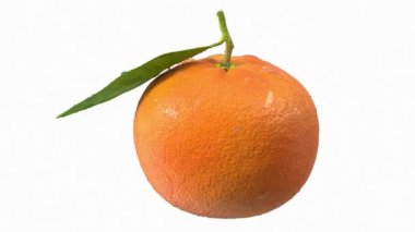 Olgun turuncu beyaz zemin üzerine yaprakları ile