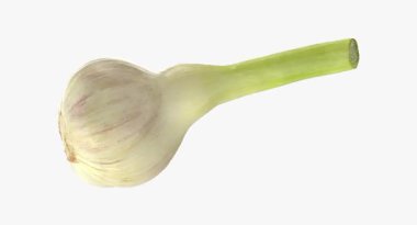 Beyaz arka planda taze sarımsak.