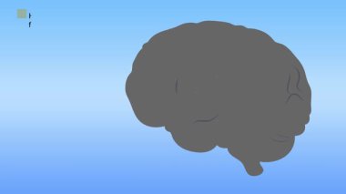 İnsan anatomisi. Bir baş vektör illüstrasyonu.