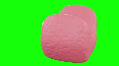 Pembe arka planda izole edilmiş yeşil bir mercanın 3 boyutlu görüntüsü