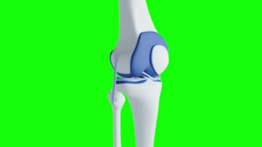 Mavi arka planda 3 boyutlu bir insan kolu görüntüsü