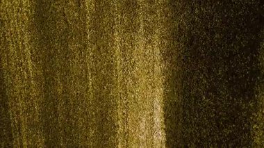 Soyut altın arka plan. soyut arkaplan