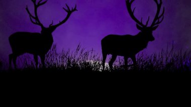 Ormanda bir geyik ve bir geyiğin silueti.