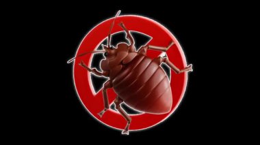 Tahtakurularından arınmış sağlıklı bir yaşam ortamının korunmasında haşere kontrolünün önemi